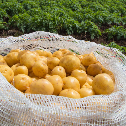 Frozen Yellow Potato | 1Lb | Belmont Peru