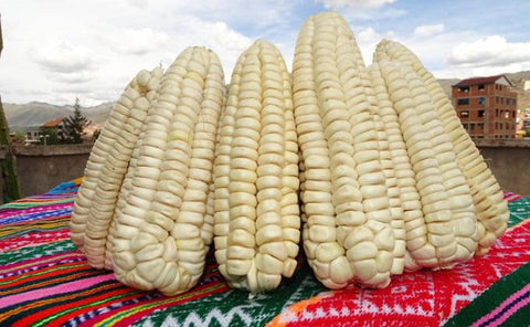3 Pack Corn Mote | 15oz| Belmont Peru