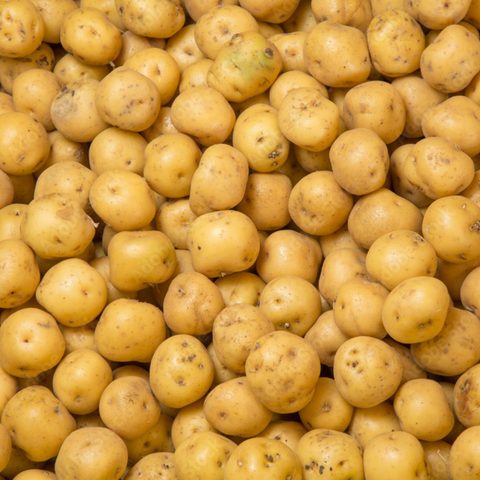 Frozen Yellow Potato | 1Lb | Belmont Peru